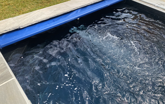 Counter-current swim spa system installed in a compact pool